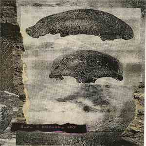 K.P.  - Honest, Shy flac download