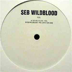 Seb Wildblood - Feel flac download
