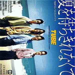 TUBE  - 夏を待ちきれなくて flac download
