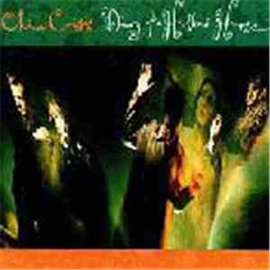 China Crisis - Diary Of A Hollow Horse flac download