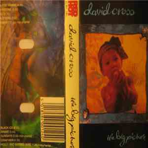 David Cross - The Big Picture flac download