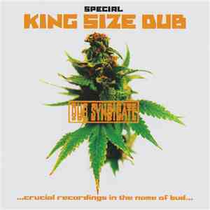 Dub Syndicate - Special King Size Dub (Crucial Recordings In The Name Of Bud) flac download