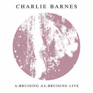 Charlie Barnes - Bruising flac download