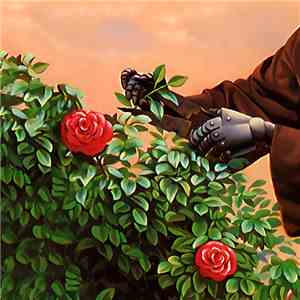 Daniel Saylor - Spring Rain flac download