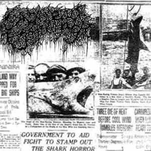 Gangrenous Erythromelalgia - Selachimorpha flac download