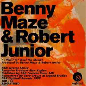 Benny Maze, Robert Junior - I Want To (Feel The Muzik) flac download