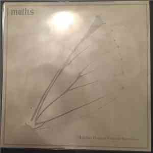 Moths  - Halfdan's Daughter - Constant Fascination flac download