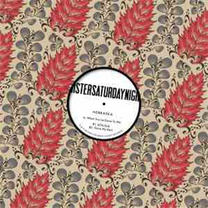 Nebraska - Look What You've Done To Me EP flac download
