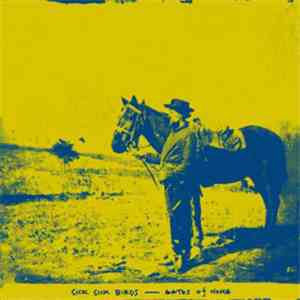 Sick Sick Birds - Gates Of Home flac download