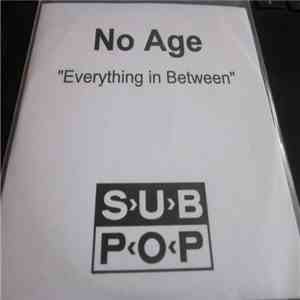 No Age - Everything In Between flac download