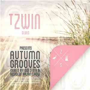 Various - Tzwin Sluis Presents Autumn Grooves / Twenty Thirteen flac download