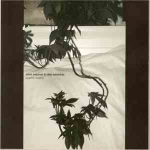 Sidsel Endresen & Stian Westerhus - Didymoi Dreams flac download