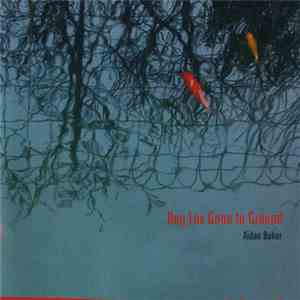 Aidan Baker - Dog Fox Gone To Ground flac download