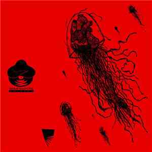 Shizune - Mono No Aware: Between Eternity And The Burial flac download