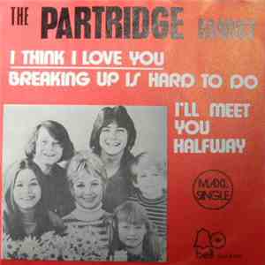The Partridge Family - I Think I Love You flac download