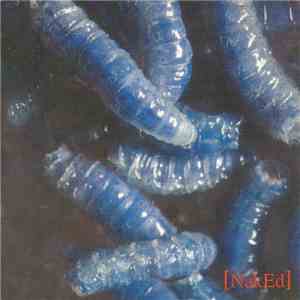 Trashcan Juice - [Naked] flac download