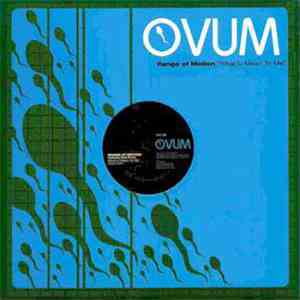 Range Of Motion - What U Mean To Me (Wink Remixes) flac download