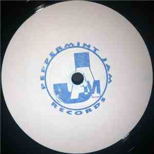 Ruffneck Feat. Yavahn - Everybody Be Somebody flac download