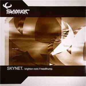 Skynet - Brighton Rock / Headthump flac download