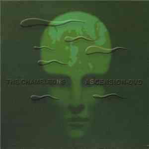 The Chameleons - Ascension flac download