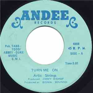 Artic Strings - Turn Me On flac download
