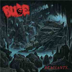 Rude  - Remnants... flac download