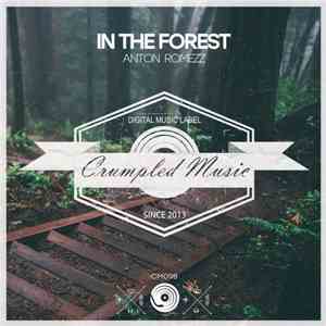 Anton Romezz - In The Forest flac download