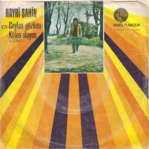 Hayri Şahin - Ceylan Gözlüm / Kölen Olayim flac download