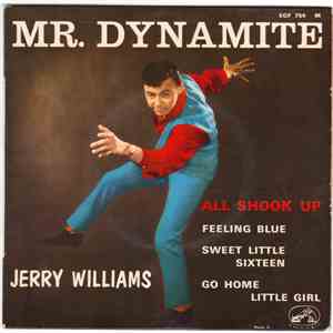 Jerry Williams  - All Shook Up flac download