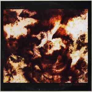 Salamander  - Birds Of Appetite flac download