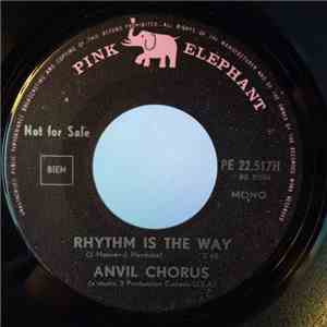 Anvil Chorus  - Rhythm Is The Way flac download