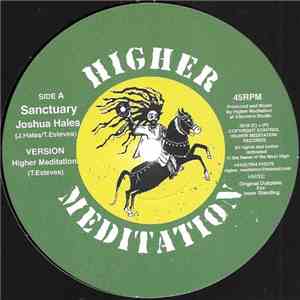 Joshua Hales - Sanctuary / Chant Down Babylon flac download