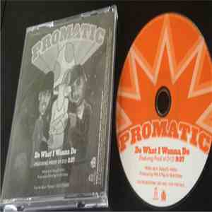 Promatic - Do What You Wanna Do flac download