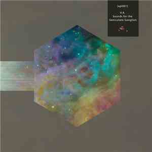 Various - V.A. Sounds For The Geniculate Ganglion flac download