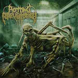 Rotting Repugnancy - Path Of The Diminished flac download