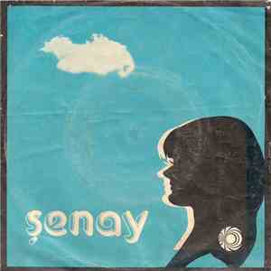 Şenay - Dünden Bugüne / Sessiz Bir Yer flac download