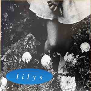 Lilys - February Fourteenth / Threw A Day flac download