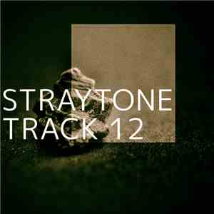 Straytone - Track 12 flac download