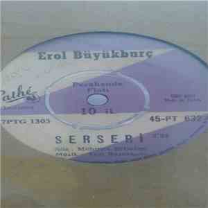 Erol Büyükburç - Serseri / Artık Sevmeyeceğim flac download