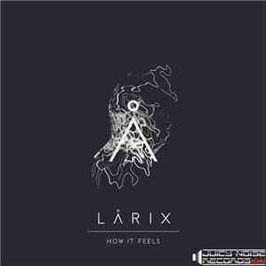 Larix  - How It Feels flac download