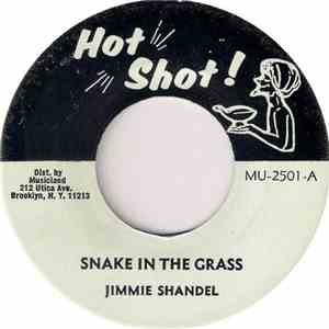 Jimmie Shandel - Snake In The Grass flac download
