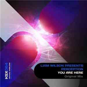 Liam Wilson  Presents Perception  - You Are Here flac download