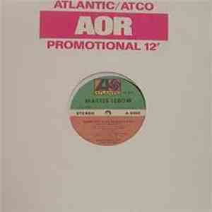 Martee Lebow - Hang On (To My Reckless Youth) flac download
