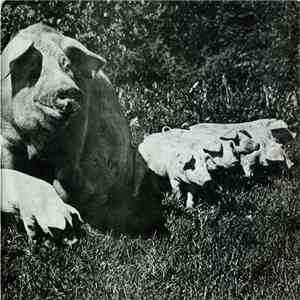 Pink Floyd - Live, The Best Of Tour '72 flac download