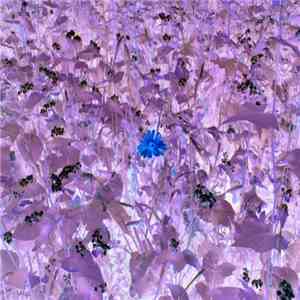 Troum - Droneflower flac download