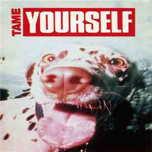 Various - Tame Yourself flac download