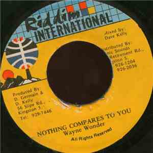 Wayne Wonder - Nothing Compares To You flac download