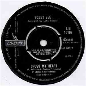 Bobby Vee - Keep On Trying flac download
