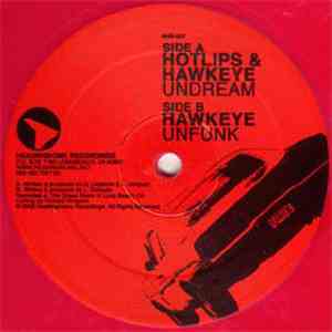 Hotlips & Hawkeye - Undream / Unfunk FLAC download