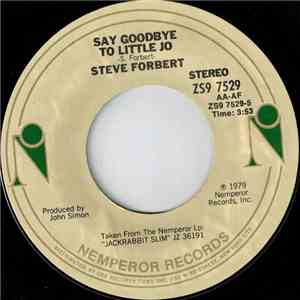 Steve Forbert - Say Goodbye To Little Jo / You're Darn Right flac download